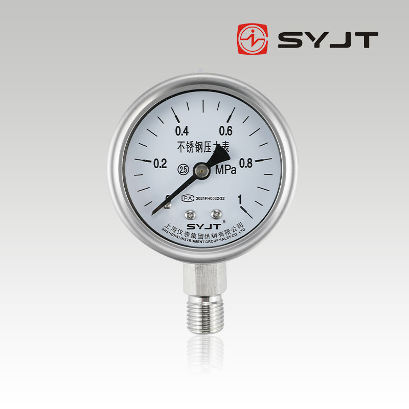 Y60BF Stainless steel pressure gauge