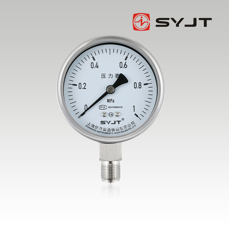 Y100BF Stainless steel pressure gauge