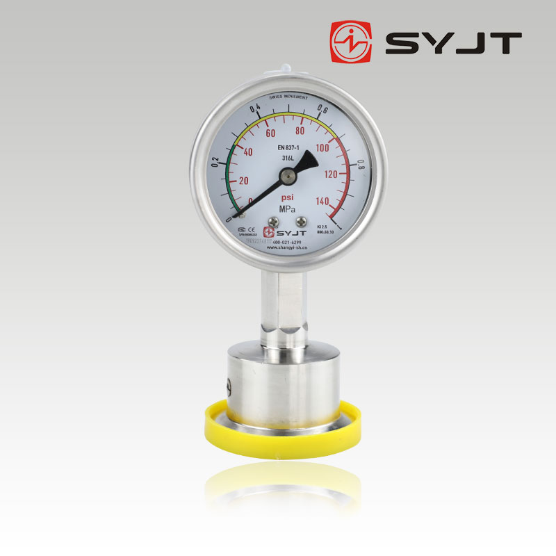 Y-60BF-MC Radial Hygienic Diaphragm Pressure Gauge